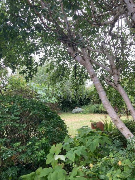 La Maison Rose - Avec Grand Jardin Clos A 300M De La Mer Hauteville-sur-Mer Eksteriør bilde