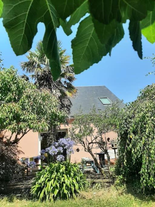 La Maison Rose - Avec Grand Jardin Clos A 300M De La Mer Hauteville-sur-Mer Eksteriør bilde